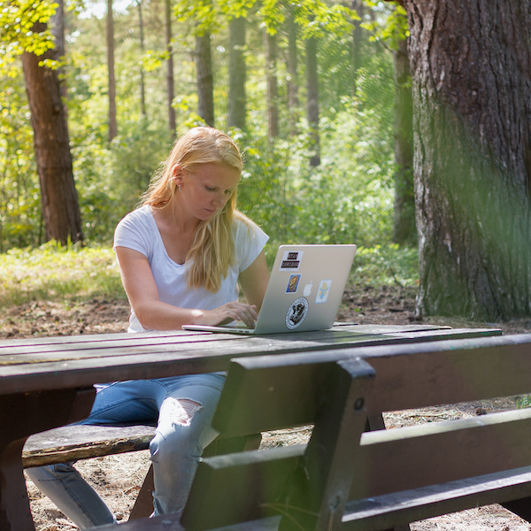 digital nomad beroepen